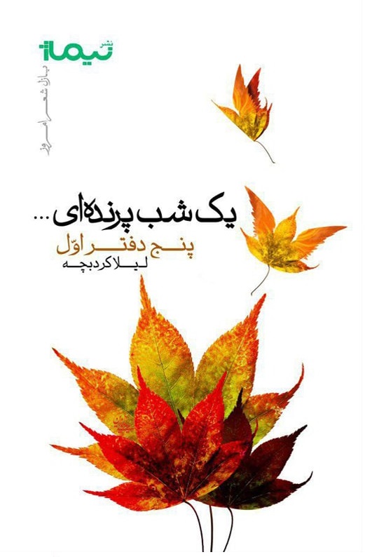 یک شب پرنده ای